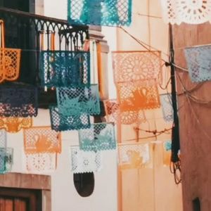 Meet your Posher, Marlene